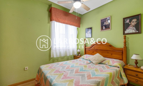 Вторичный рынок - Квартира - Торревьеха - Estacion de autobuses