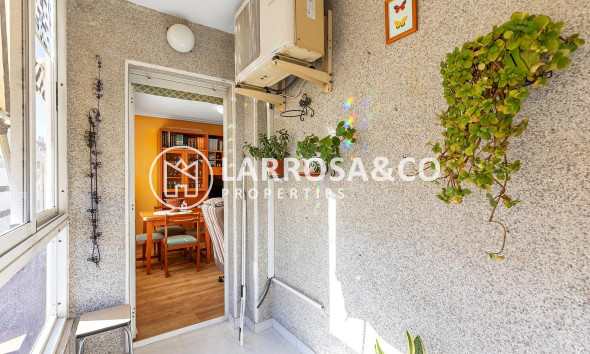 Вторичный рынок - Квартира - Торревьеха - Estacion de autobuses