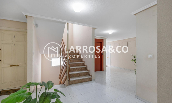 Вторичный рынок - Квартира - Торревьеха - Estacion de autobuses