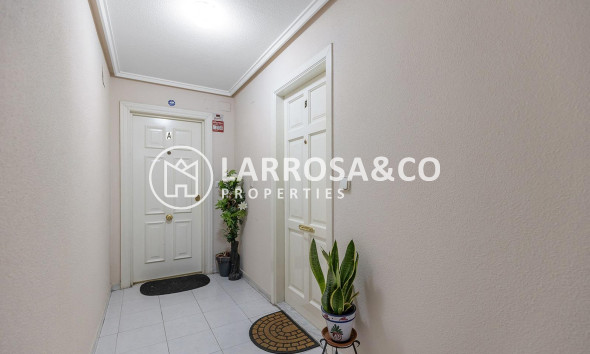 Вторичный рынок - Квартира - Торревьеха - Estacion de autobuses