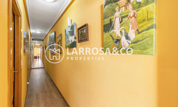 Вторичный рынок - Квартира - Торревьеха - Estacion de autobuses