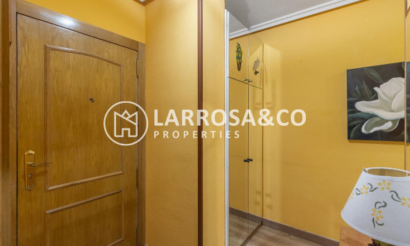 Вторичный рынок - Квартира - Торревьеха - Estacion de autobuses