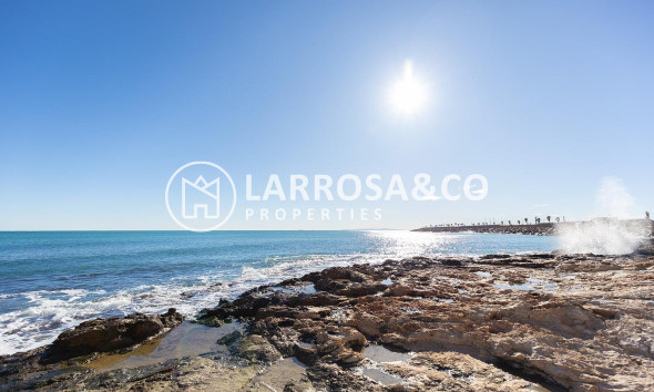 Вторичный рынок - Квартира - Торревьеха - Estacion de autobuses