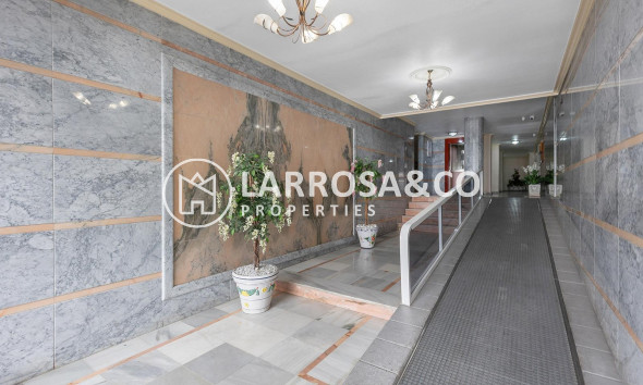 Вторичный рынок - Квартира - Торревьеха - Estacion de autobuses