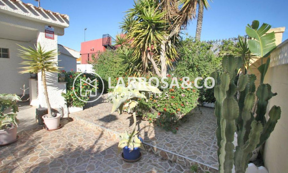 Вторичный рынок - Дом - Торревьеха - Los Frutales