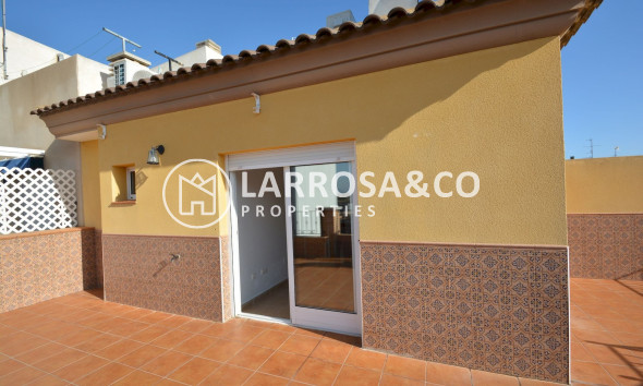 Вторичный рынок - Пентхаус - Гуардамар дель Сегура - Guardamar del Segura