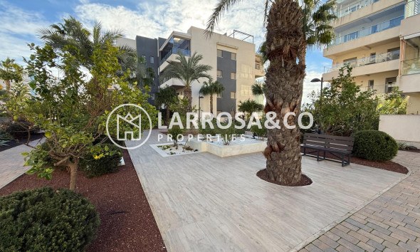 Вторичный рынок - Квартира - Ориуела Коста - Los Dolses