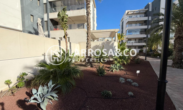 Вторичный рынок - Квартира - Ориуела Коста - Los Dolses