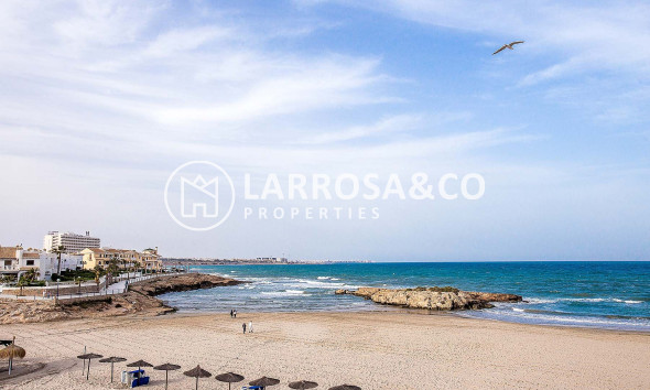New build - Detached House/Villa - Orihuela costa - La Zenia