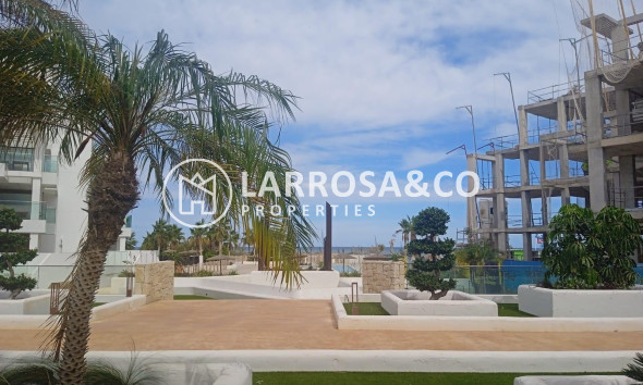 New build - Apartment - Denia - L´Estanyó (Marinas)
