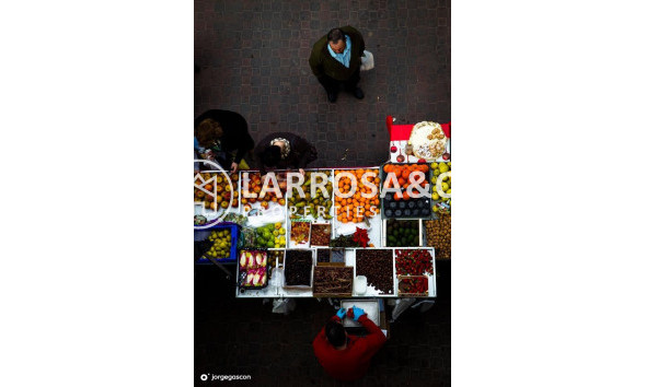 New build - Semi-detached house - Dolores - Sector 2