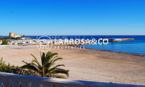 Nouvelle Construction - Villa - Pilar de la Horadada - PILAR DE LA HORADADA