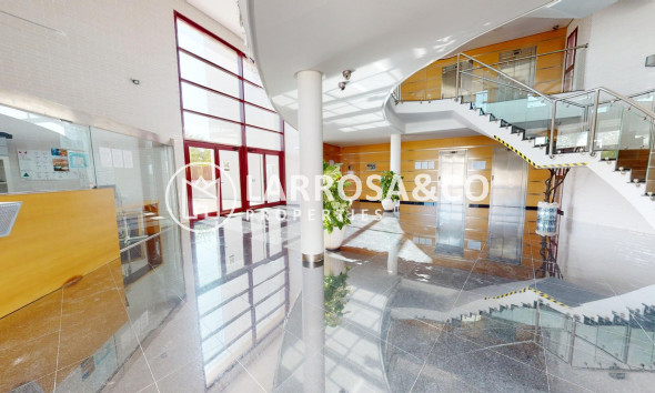 Obra Nueva - Apartamento - Archena - Villanueva del Rio Segura