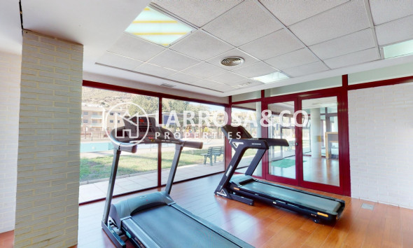 Obra Nueva - Apartamento - Archena - Villanueva del Rio Segura