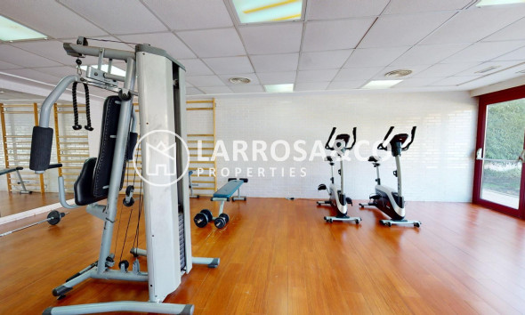 Obra Nueva - Apartamento - Archena - Villanueva del Rio Segura