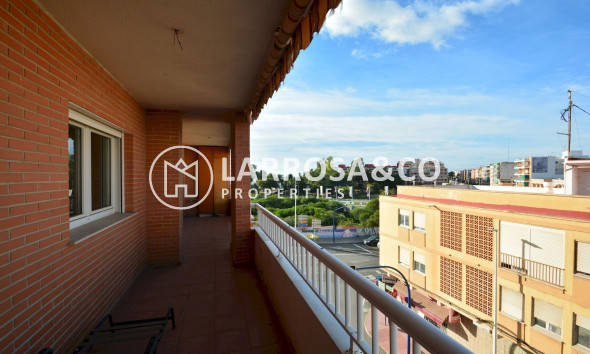 Reventa - Apartamento - Torrevieja - Playa Acequion