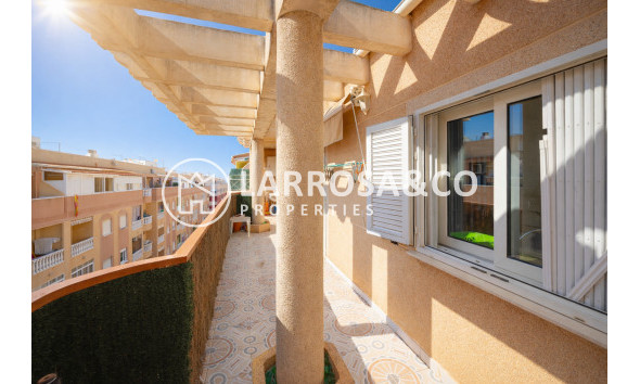 Resale - Apartment - Torrevieja - Parque de las Naciones