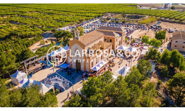 New build - Detached House/Villa - Algorfa - La Finca Golf Resort