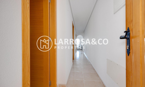 Obra Nueva - Apartamento - San Fulgencio - Pueblo