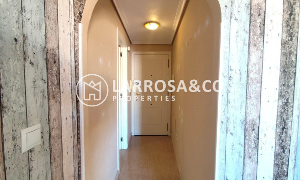 Reventa - Apartamento - Torrevieja - Centro