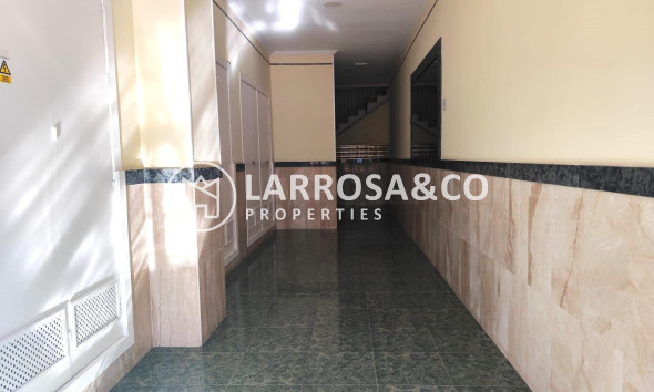 Reventa - Apartamento - Torrevieja - Centro