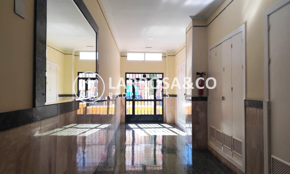 Reventa - Apartamento - Torrevieja - Centro