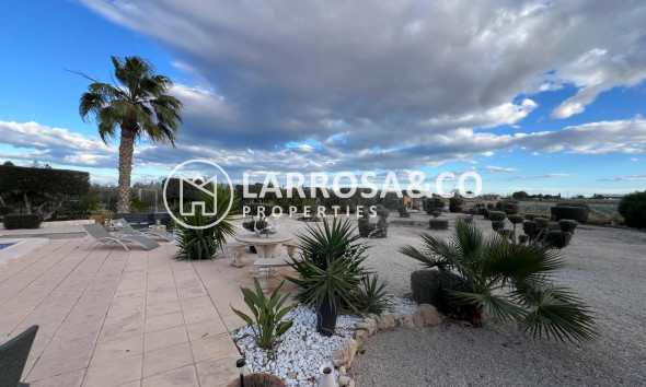 A Vendre - Villa - Dolores - Comunidad valenciana