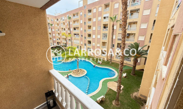 Reventa - Apartamento - Torrevieja - Parque de las Naciones