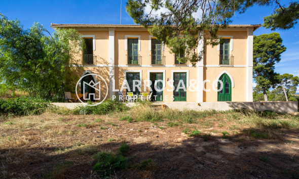 Resale - Detached House/Villa - Alicante - Costa Blanca