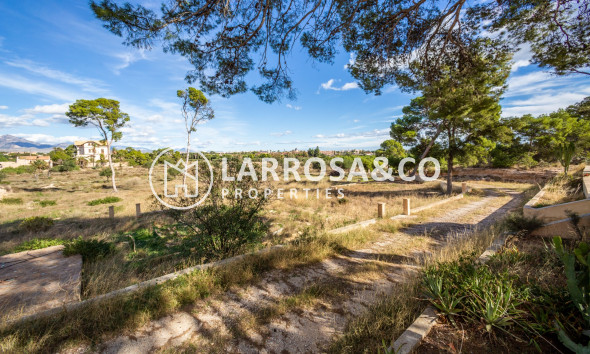 Resale - Detached House/Villa - Alicante - Costa Blanca