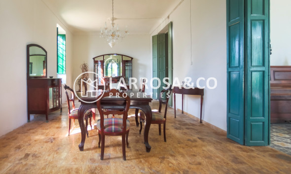 Resale - Detached House/Villa - Alicante - Costa Blanca