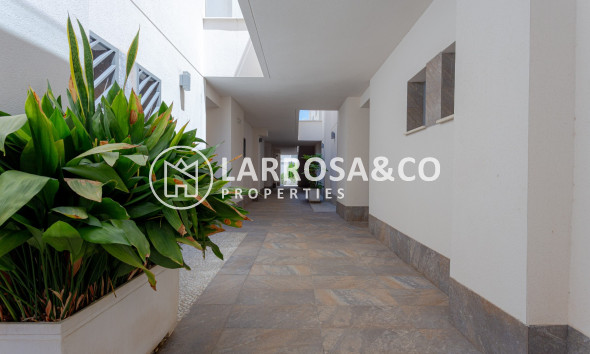 Resale - Apartment - Torrevieja - Costa Blanca