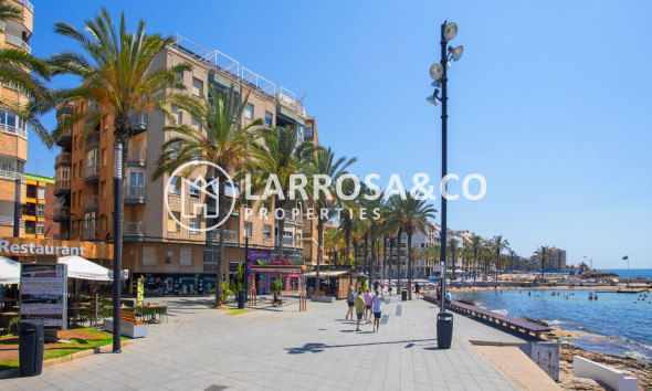 A Vendre - Penthouse  - Torrevieja - Playa del cura