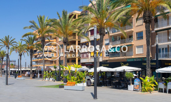 A Vendre - Penthouse  - Torrevieja - Playa del cura