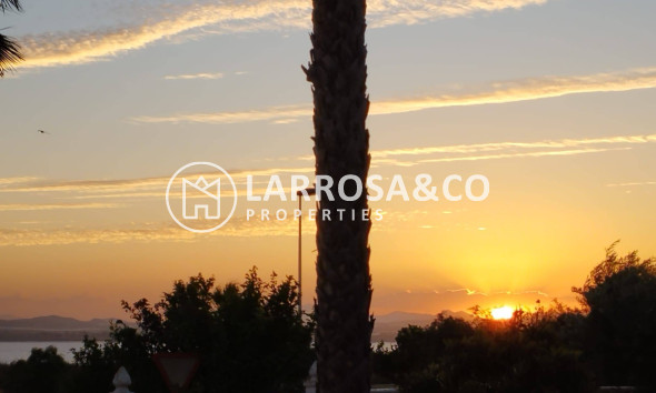 Herverkoop - Villa - Torrevieja - La Siesta - El Salado - Torreta