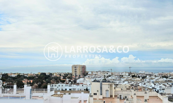 Вторичный рынок - Квартира - Торревьеха - Nueva Torrevieja
