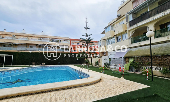 Вторичный рынок - Квартира - Торревьеха - Nueva Torrevieja