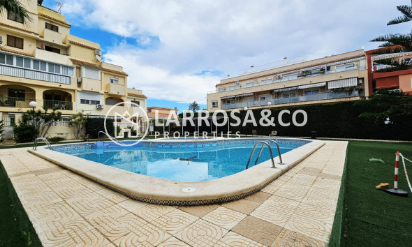 Вторичный рынок - Квартира - Торревьеха - Nueva Torrevieja