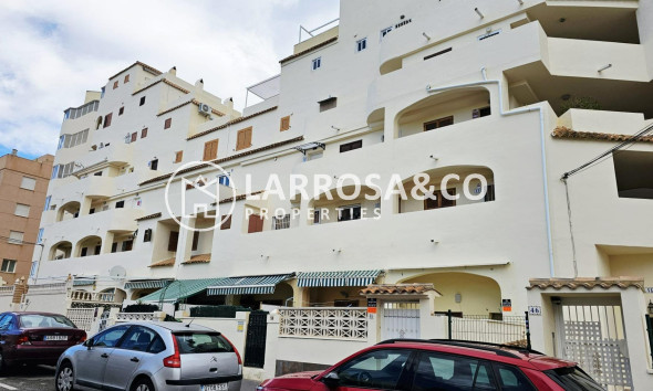 Вторичный рынок - Квартира - Торревьеха - Nueva Torrevieja