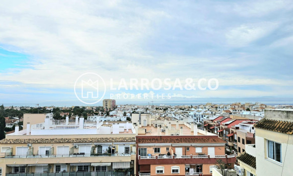 Вторичный рынок - Квартира - Торревьеха - Nueva Torrevieja