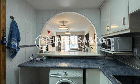 Вторичный рынок - Квартира - Торревьеха - Centro