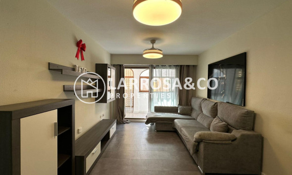 Вторичный рынок - Квартира - Торревьеха - Centro