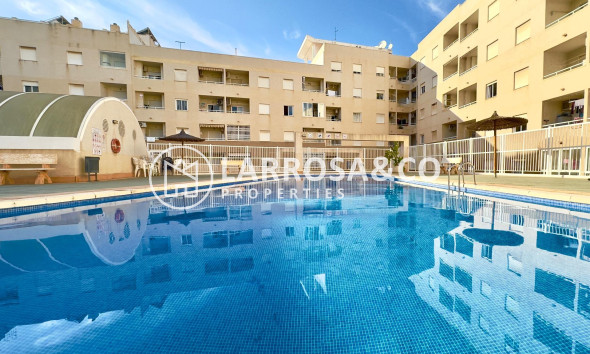 Reventa - Apartamento - Torrevieja - Centro