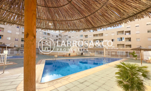 Reventa - Apartamento - Torrevieja - Centro