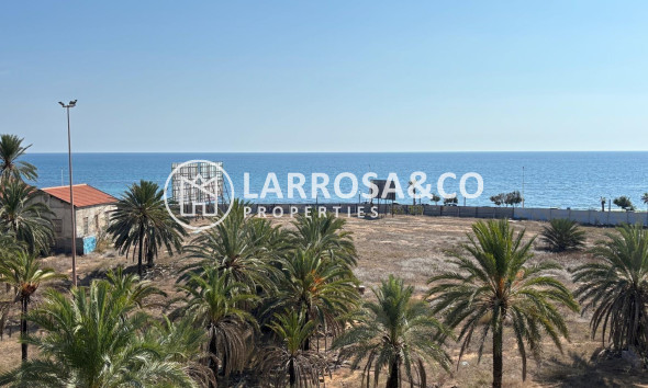 Reventa - Apartamento - Torrevieja - Playa del cura