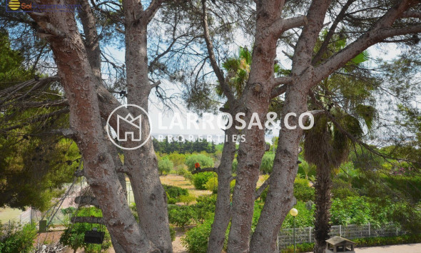 Herverkoop - Villa - Torrevieja - Los Balcones