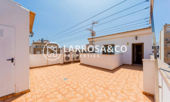 Вторичный рынок - Коммерческая площадь - Торревьеха - torrevieja