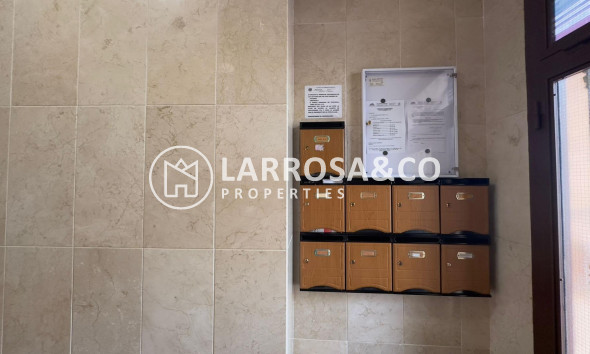 Вторичный рынок - Квартира - Торревьеха - torrevieja