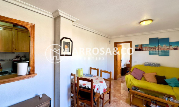 Reventa - Atico - Torrevieja - Parque de las Naciones