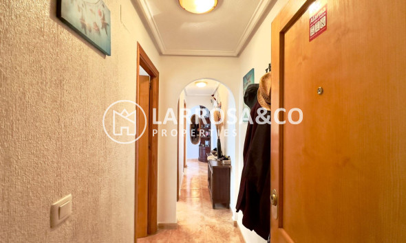 Reventa - Atico - Torrevieja - Parque de las Naciones